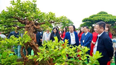 Lễ hội đền thờ Triệu Việt Vương: Đấu giá tác phẩm sinh vật cảnh hàng trăm triệu đồng