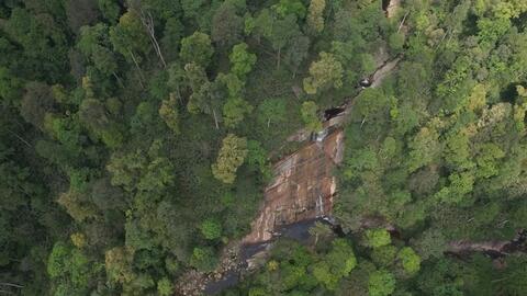Lào Cai nâng cấp khu bảo tồn thiên nhiên thành Vườn quốc gia Bát Xát