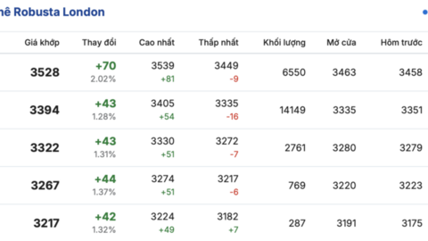 Giá cà phê hôm nay 16/4/2026: Tăng phiên thứ ba liên tiếp