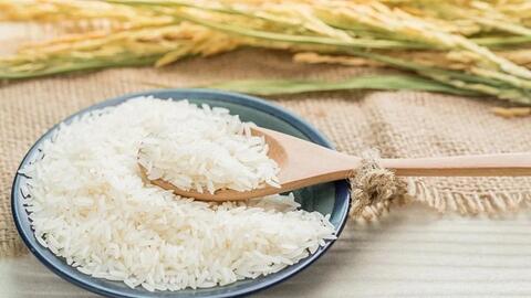 Bản tin nông sản hôm nay (24-4): Giá cà phê tăng mạnh