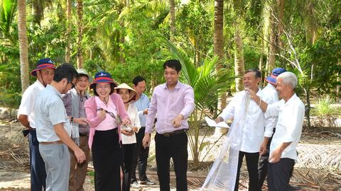 Kiểm tra mô hình canh tác dừa hữu cơ gắn với bảo tồn hệ sinh thái đất ngập nước và thích ứng với biến đổi khí hậu