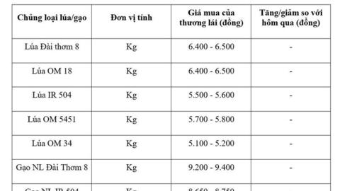 Giá lúa gạo hôm nay ngày 3/6/2026: Gạo xuất khẩu biến động