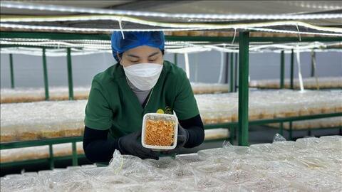 Phát triển kinh tế tập thể, nâng tầm sản phẩm OCOP trong kỷ nguyên số