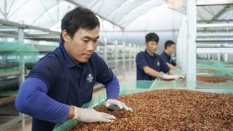 Từ lợi thế EVFTA đến ‘bài toán’ đáp ứng EUDR