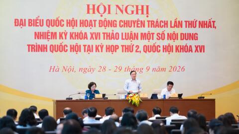 Sửa đổi Luật Xử lý vi phạm hành chính: Cân nhắc việc tăng mức phạt và biện pháp cưỡng chế