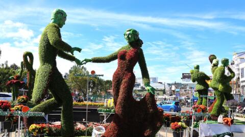 Lâm Đồng khởi động Festival Hoa Đà Lạt lần thứ XI