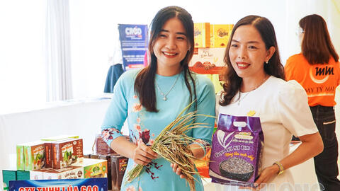 Cải tiến kỹ thuật, nâng tầm thương hiệu nông sản