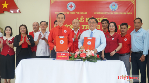Đà Nẵng: Hợp tác, hỗ trợ phát triển sinh kế bền vững cho người dân