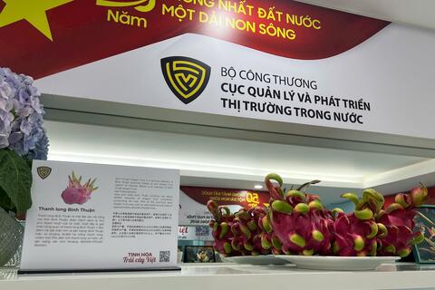Đa dạng hóa thị trường tiêu thụ thanh long