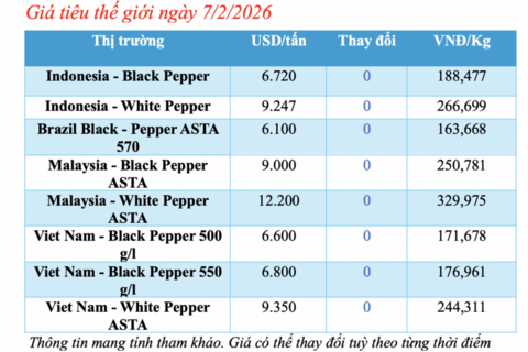 Giá tiêu hôm nay 7/2/2026: Giảm đồng loạt từ 500 - 1.000 đồng/kg