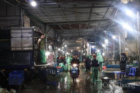 Chợ cá lớn nhất miền Bắc nhộn nhịp trong ngày tiễn ông Công ông Táo