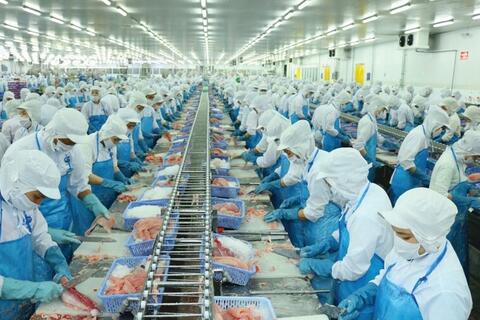 Xuất khẩu cá tra, cá ngừ tăng tốc đầu năm 2026