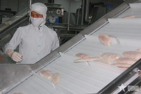 2 tháng đầu năm 2026: Việt Nam xuất khẩu 11,3 tỷ USD sản phẩm nông, lâm, thủy sản