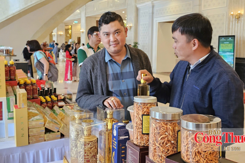 Lâm Đồng rà soát, nâng chất lượng toàn bộ sản phẩm OCOP