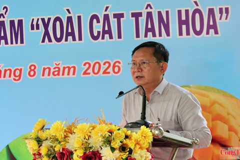 Cần Thơ: Xoài cát Tân Hòa hướng tới xây dựng thương hiệu, mở rộng thị trường