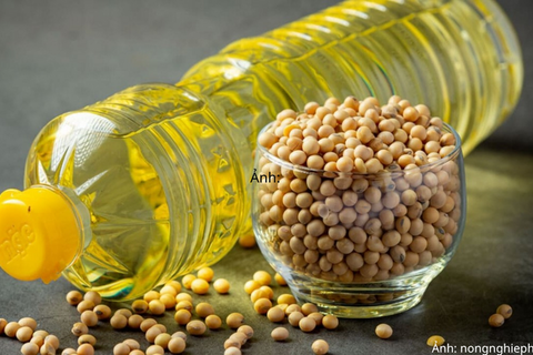 Giá dầu đậu tương tăng nhờ triển vọng nguồn cung và nhu cầu tích cực