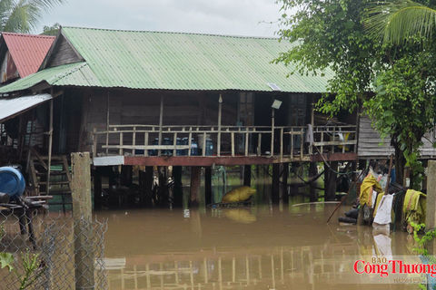 Gia Lai: Mưa lớn kéo dài, ruộng đồng, nhà dân chìm trong biển nước