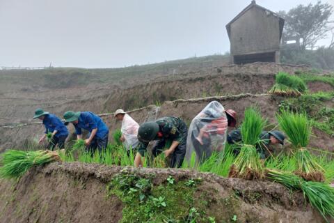 Góp phần tạo sinh kế cho đồng bào nơi biên cương Tây Bắc