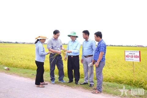 Làm giàu chính đáng, góp sức cho quê hương