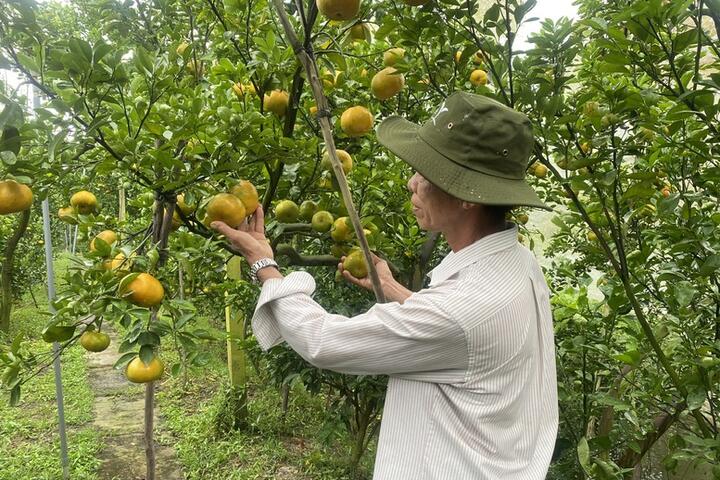 11 tháng, xuất khẩu nông, lâm, thủy sản vượt kỷ lục năm 2024