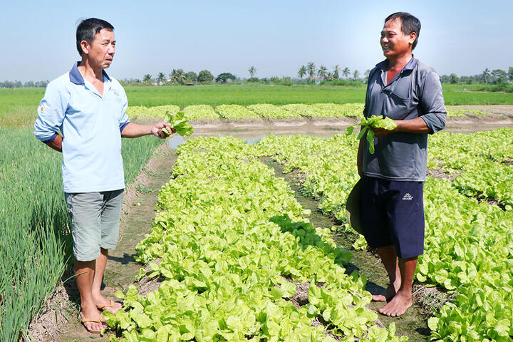 Sức bật mới của nông dân xã Hưng Mỹ