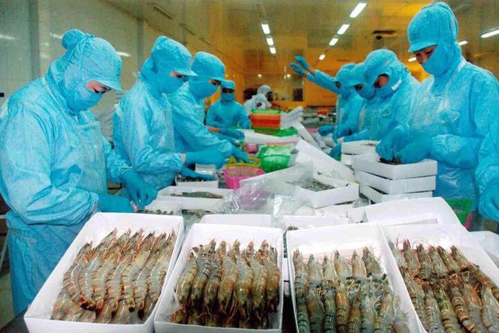 Xuất khẩu tôm năm 2026: Cơ hội bứt phá trong "cuộc đua" toàn cầu