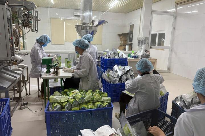 Xuất khẩu nông lâm thủy sản: Nhiều ngành hàng tăng tốc, mở rộng thị phần