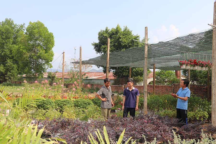 Các thành viên Nông hội hoa, cây cảnh An Khê trao đổi kinh nghiệm trồng, chăm sóc hoa. Ảnh: N.M