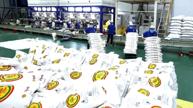 Chế biến gạo xuất khẩu tại nhà máy của Công ty CP nông nghiệp công nghệ cao Trung An, thành phố Cần Thơ. (Ảnh: VŨ SINH)