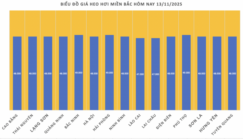 Giá heo hơi hôm nay 13/11/2025: Giảm rải rác ở miền Trung và miền Nam - 1
