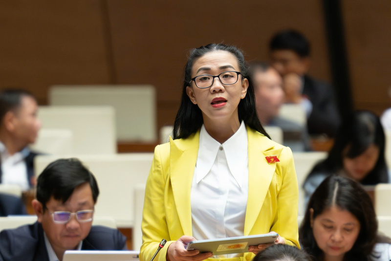 Đại biểu Trịnh Thị Tú Anh - đoàn Lâm Đồng