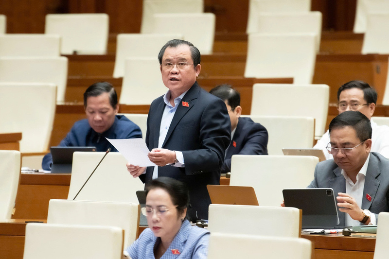 Đại biểu Nguyễn Tâm Hùng - đoàn TP. Hồ Chí Minh