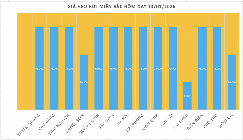 Giá heo hơi hôm nay 13/1/2026: Thị trường tăng 'nóng', lập đỉnh mới - 1
