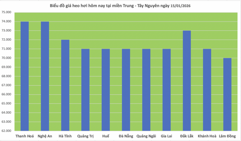 Giá heo hơi hôm nay 15/1/2026: Tăng đồng loạt tại miền Trung, miền Nam - 2