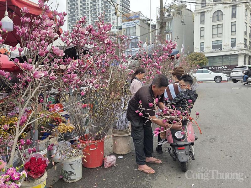 Mộc lan được người bán buộc gọn từng cành, bảo vệ nụ hoa và giữ dáng cành khi chở về nhà.