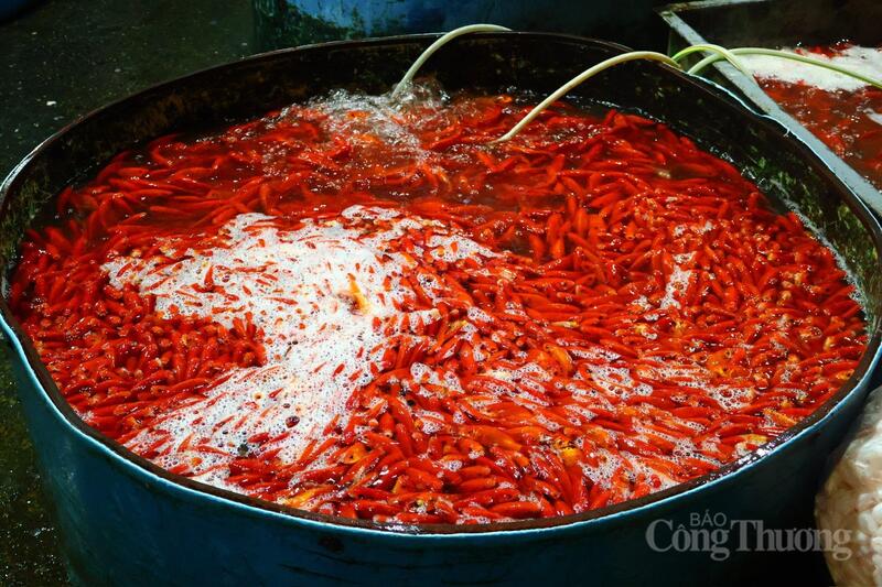 Chợ cá lớn nhất miền Bắc nhộn nhịp trong ngày tiễn ông Công ông Táo - 8