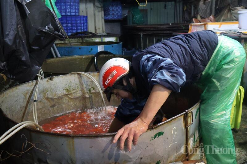 Người lao động mặc áo mưa, tay trần trong nước lạnh.