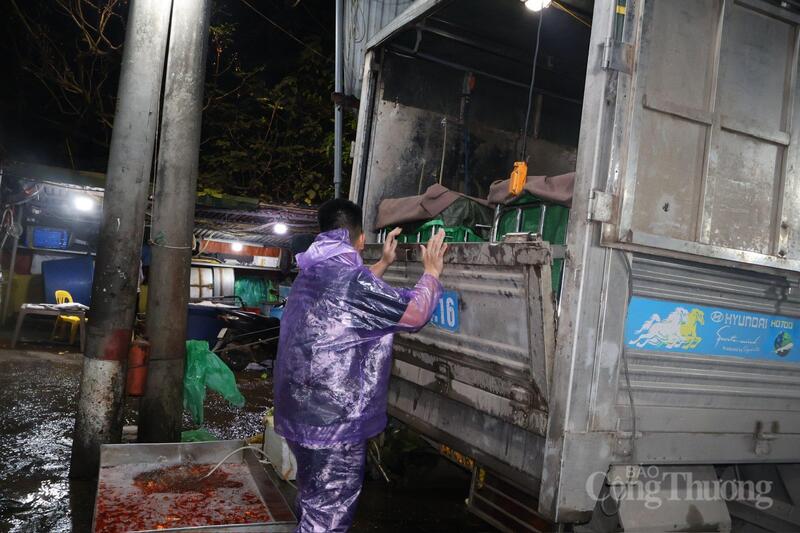 Hàng loạt xe tải chở cá nối đuôi nhau vào chợ, tạo nên khung cảnh giao thương nhộn nhịp.