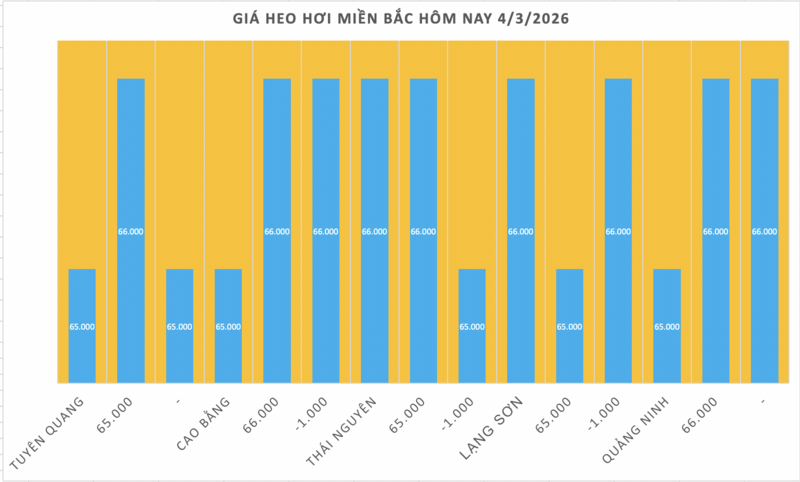 Giá heo hơi hôm nay 4/3/2026: Giảm tại miền Bắc và miền Trung - 1