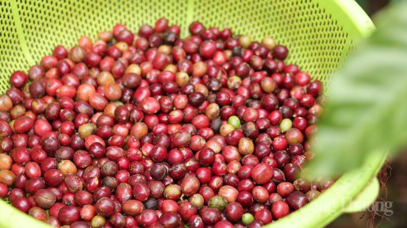 Ảnh minh hoạ: Hiền Mai