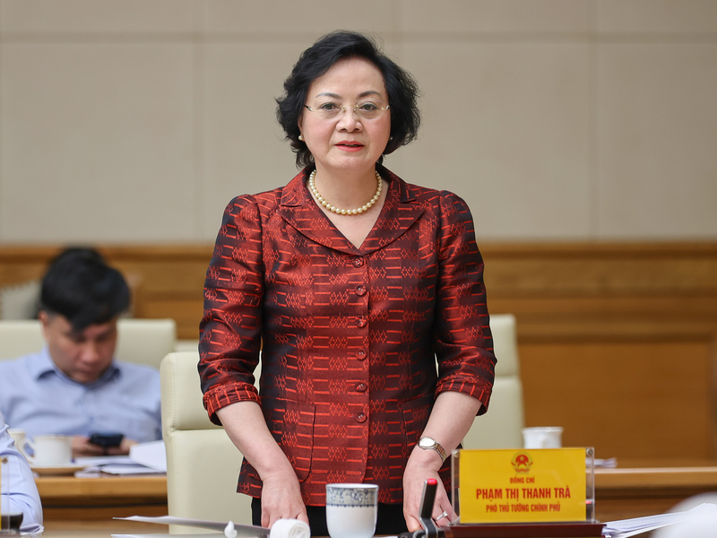Phó Thủ tướng Phạm Thị Thanh Trà phát biểu - Ảnh: VGP/Nhật Bắc