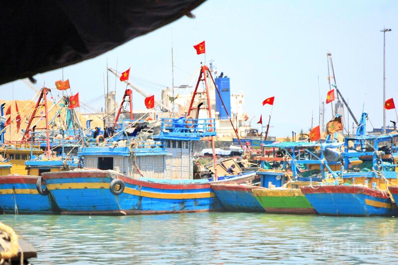 Việc quản lý đội tàu, đặc biệt là nhóm tàu không đủ điều kiện hoạt động đang được siết chặt. Ảnh: Hiền Mai