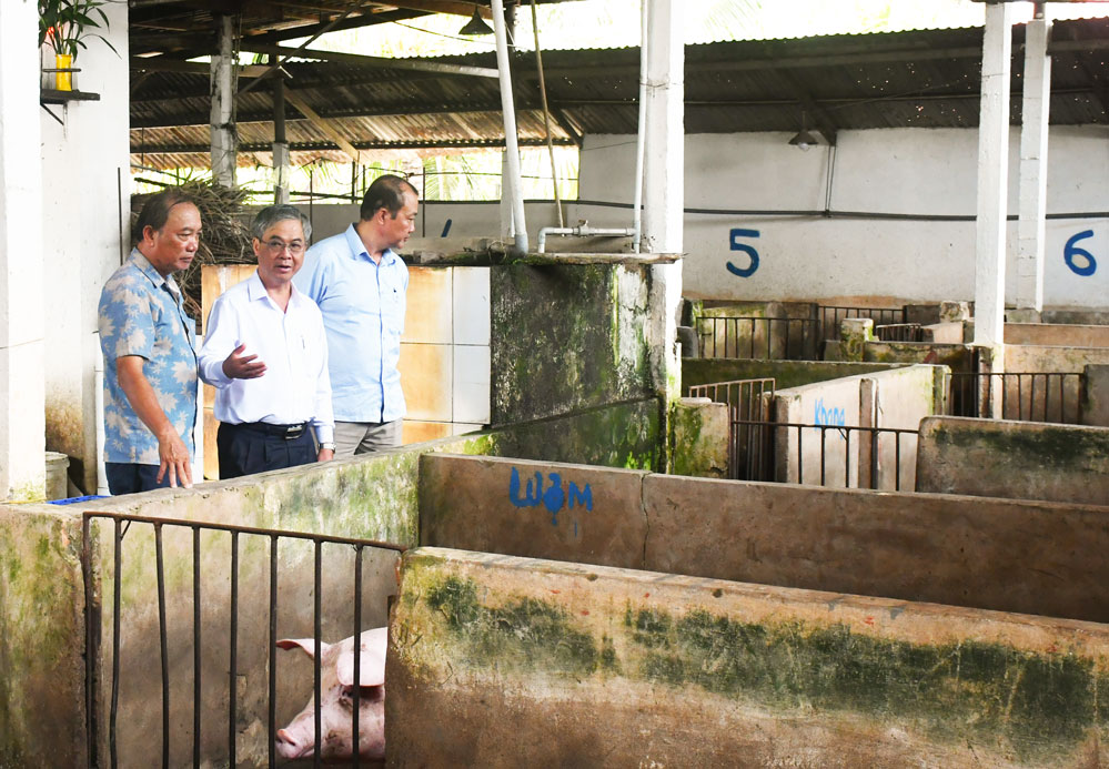 Phó Chủ tịch UBND tỉnh- Châu Văn Hòa cùng đoàn công tác kiểm tra, khảo sát thực tế tại cơ sở của hộ ông Ngô Văn Tiền (xã Phú Túc).
