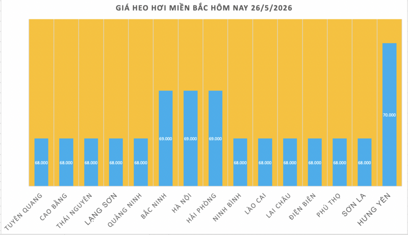 Giá heo hơi hôm nay 26/5/2026: Tăng vài nơi - 1