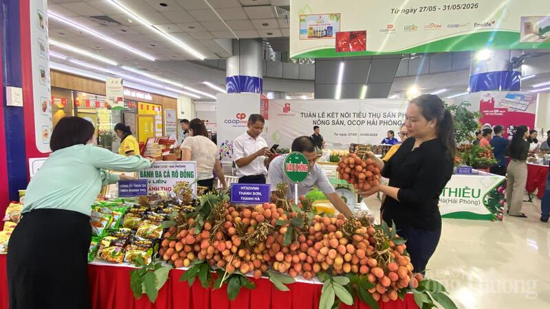 Vải Thanh Hà được đông đảo người dân và du khách lựa chọn, nhờ cùi dày, hạt nhỏ, vỏ mỏng và vị ngọt đậm đà.