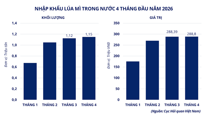 Nhập khẩu lúa mì trong nước 4 tháng đầu năm 2026. Nguồn: MXV