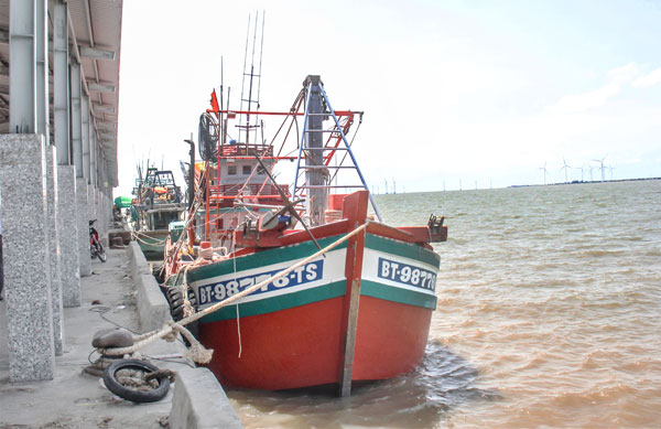 Tỉnh hiện có 5 cảng cá loại II được công bố mở, trong đó có 3 cảng đủ điều kiện xác nhận nguồn gốc thủy sản khai thác. Ảnh: TRẦN PHƯỚC