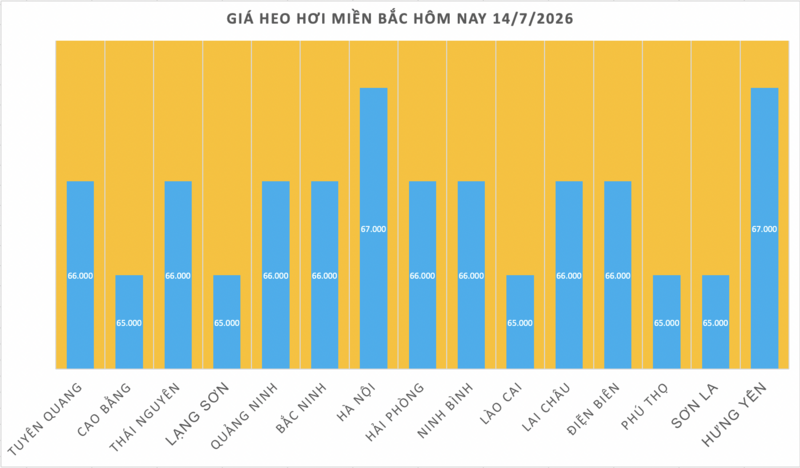 Giá heo hơi hôm nay 14/7/2026: Tăng rải rác trên cả 3 miền - 1