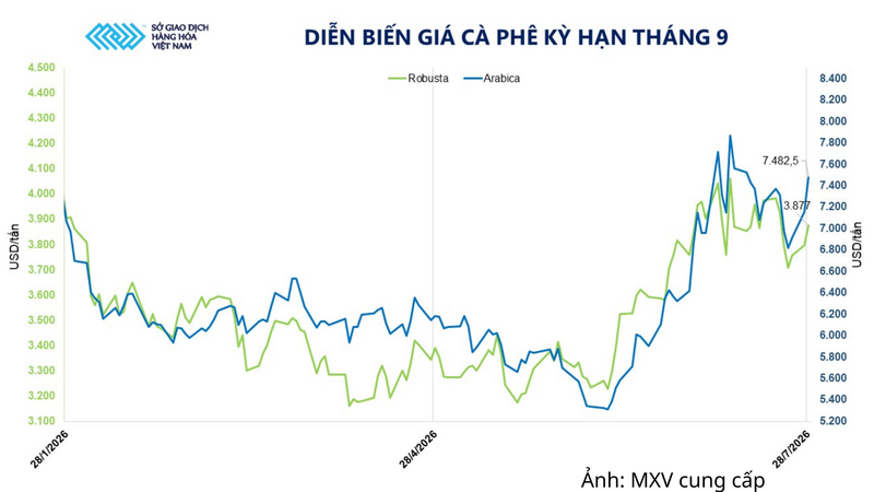 Diễn biến giá cà phê kỳ hạn tháng 9.
