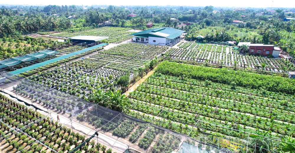 Ngành nông nghiệp và môi trường cần cụ thể hóa giải pháp đối với từng lĩnh vực, từng loại cây trồng, vật nuôi nhằm bảo đảm hoàn thành mục tiêu tăng trưởng.    Ảnh: NGUYÊN KHANG